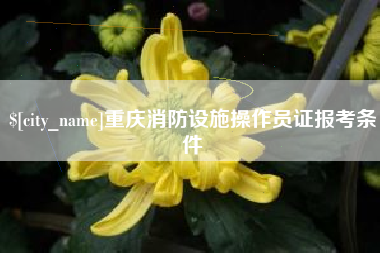 泰安重庆消防设施操作员证报考条件