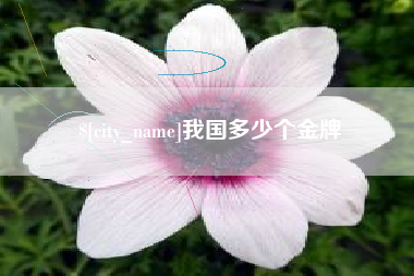 泰安我国多少个金牌