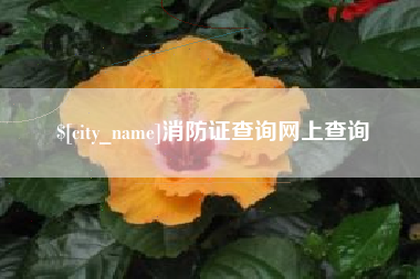 泰安消防证查询网上查询