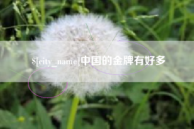 泰安中国的金牌有好多