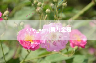 泰安第九金是