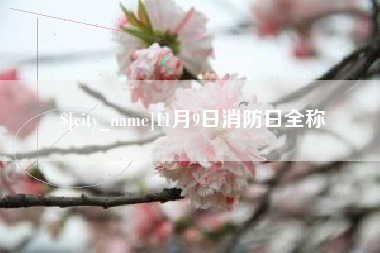 泰安11月9日消防日全称