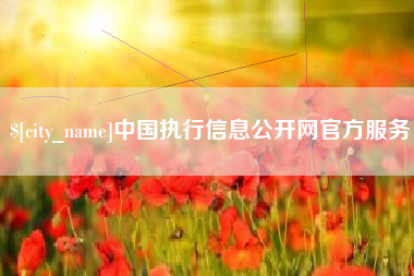 泰安中国执行信息公开网官方服务