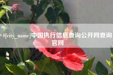 泰安中国执行信息查询公开网查询官网