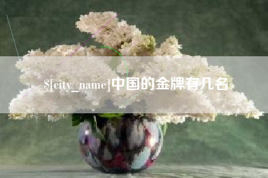 泰安中国的金牌有几名