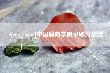 泰安中国消防学院录取分数线