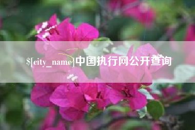 泰安中国执行网公开查询