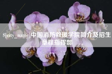 泰安中国消防救援学院简介及招生章程指挥部