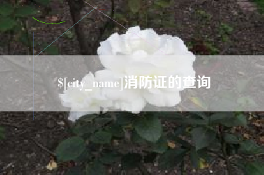 泰安消防证的查询