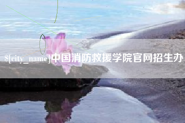 泰安中国消防救援学院官网招生办