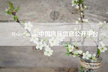 泰安中国执行信息公开平台