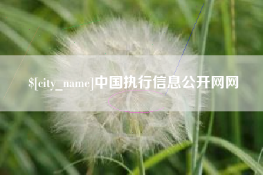 泰安中国执行信息公开网网