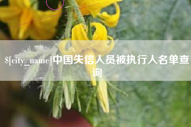 泰安中国失信人员被执行人名单查询