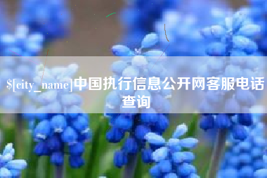 泰安中国执行信息公开网客服电话查询