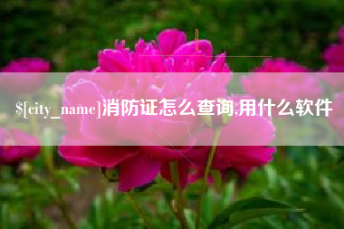 泰安消防证怎么查询,用什么软件