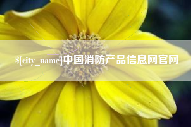 泰安中国消防产品信息网官网