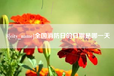 泰安全国消防日的日期是哪一天