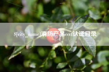 泰安消防产品cccf认证目录