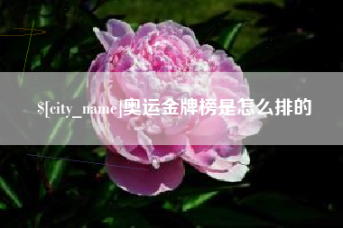 泰安奥运金牌榜是怎么排的