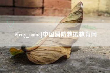 泰安中国消防救援教育网