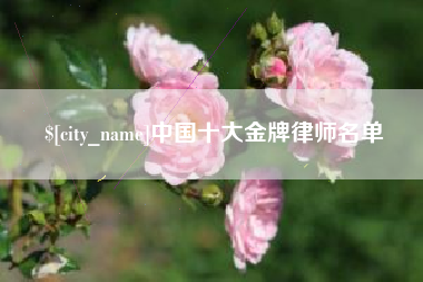 泰安中国十大金牌律师名单