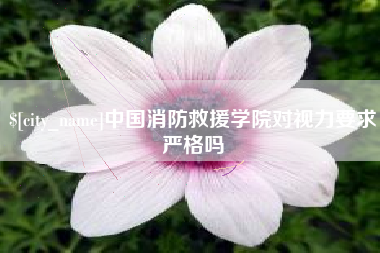 泰安中国消防救援学院对视力要求严格吗