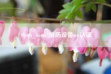 泰安消防设备ccc认证
