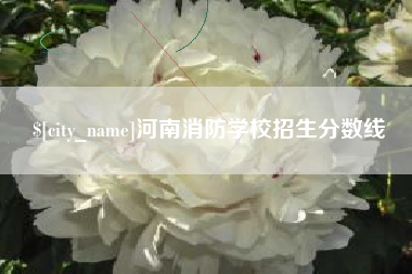 泰安河南消防学校招生分数线