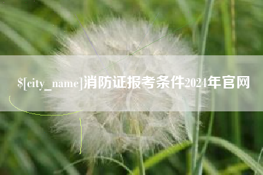 泰安消防证报考条件2024年官网
