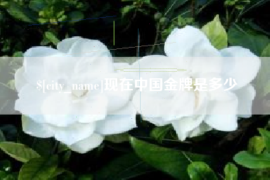 泰安现在中国金牌是多少