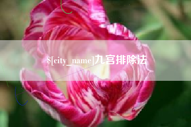 泰安九宫排除法