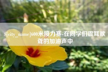 泰安600米接力赛-在同学们震耳欲聋的加油声中