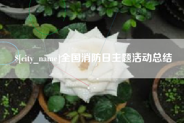 泰安全国消防日主题活动总结