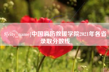 泰安中国消防救援学院2021年各省录取分数线