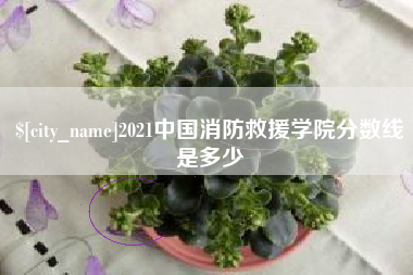 泰安2021中国消防救援学院分数线是多少