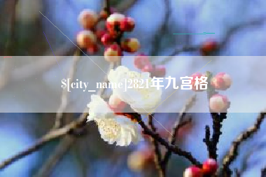 泰安2821年九宫格