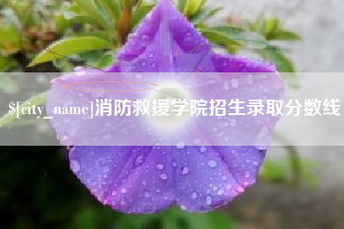 泰安消防救援学院招生录取分数线