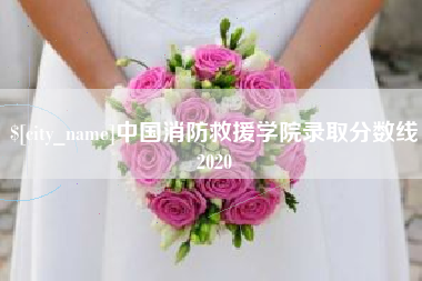 泰安中国消防救援学院录取分数线2020