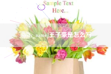 泰安王子豪是怎么写