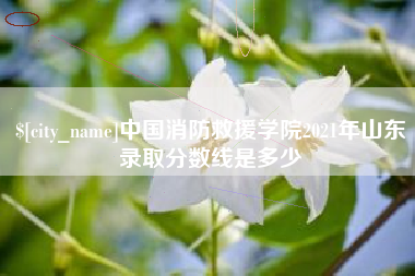 泰安中国消防救援学院2021年山东录取分数线是多少