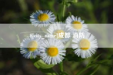 泰安成都 消防