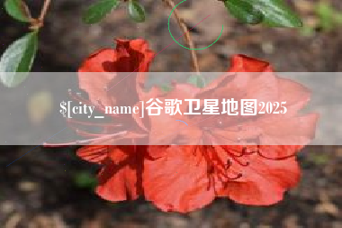 泰安谷歌卫星地图2025