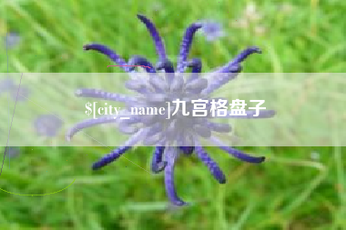 泰安九宫格盘子
