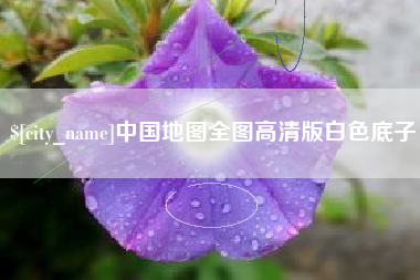 泰安中国地图全图高清版白色底子