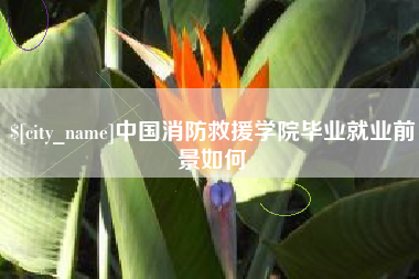 泰安中国消防救援学院毕业就业前景如何
