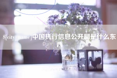 泰安中国执行信息公开网是什么东西