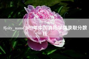 泰安2021年中国消防学院录取分数线