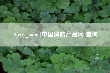 泰安中国消防产品网 查询