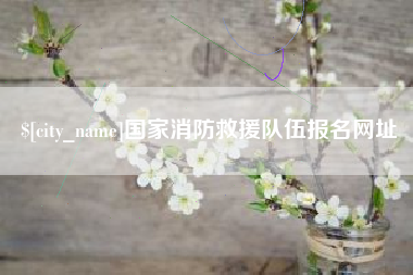 泰安国家消防救援队伍报名网址