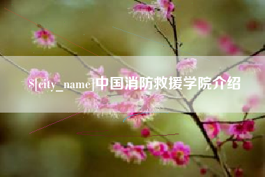 泰安中国消防救援学院介绍